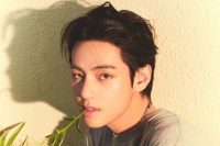 BTS’ V sent fans into meltdown with a new picture of his toned physique